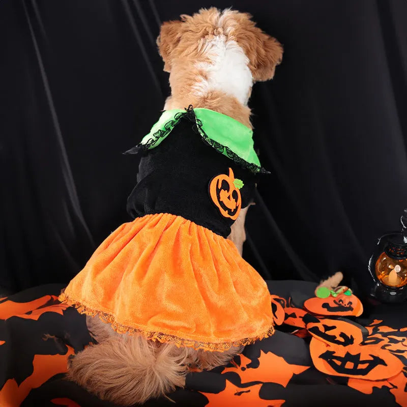 Orange Halloween pumpkin skirt pet costume for small dogs made from crystal velvet fabric