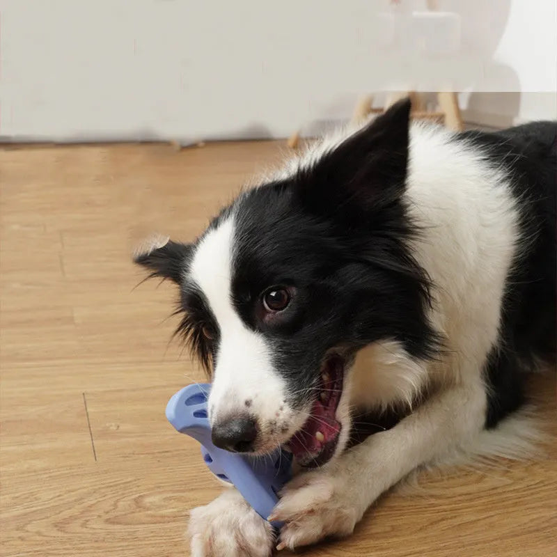 Blue bite-resistant boomerang shaped dog toy for large breed chewers.