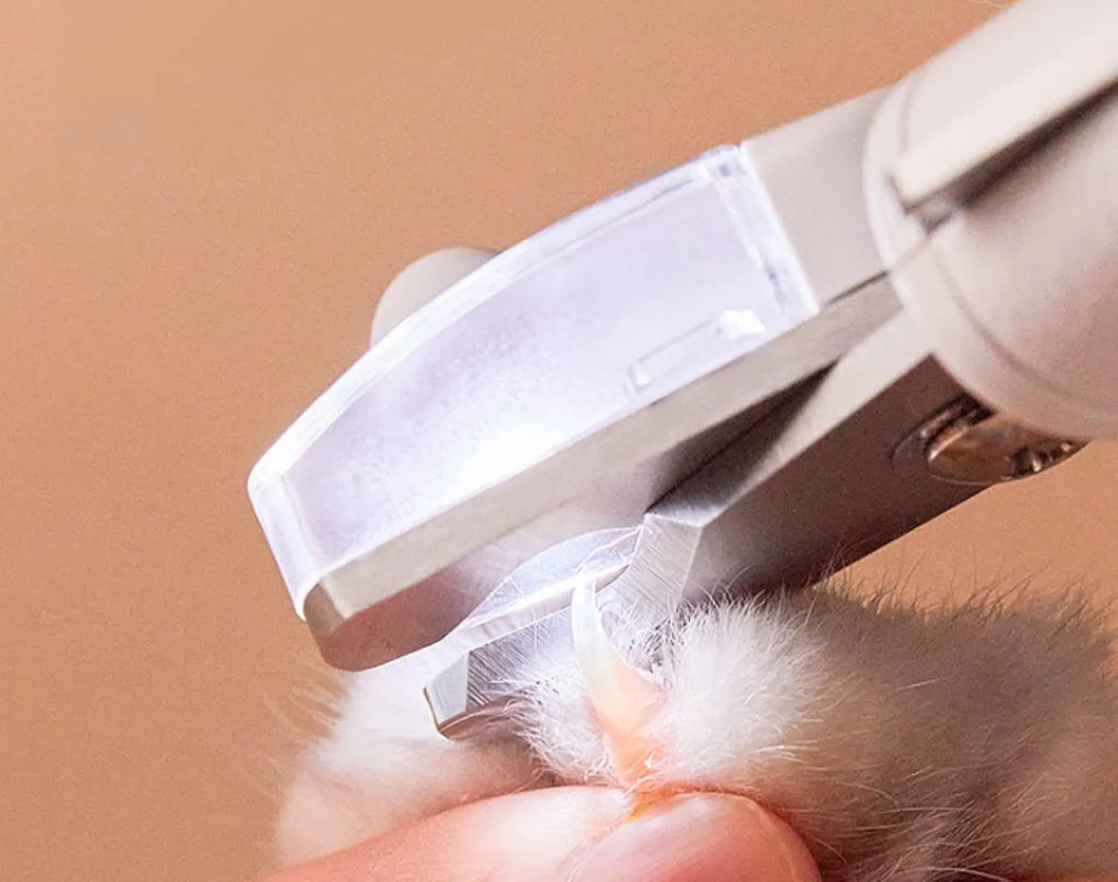 White pet nail clippers with LED light, transparent guard, and a separate nail file on a plain background.