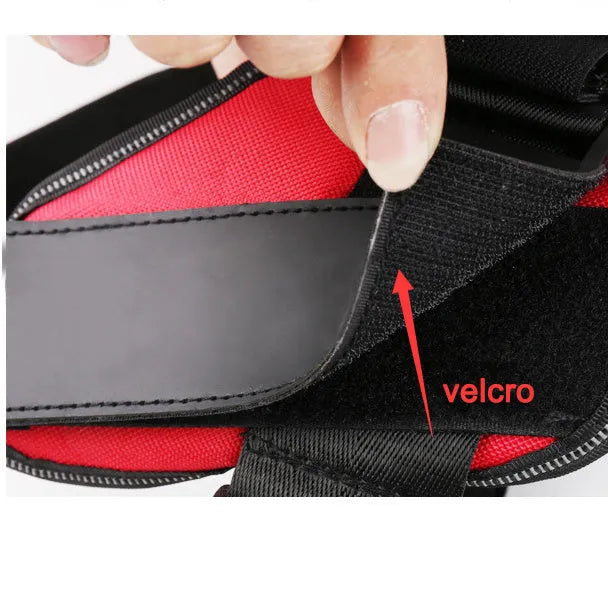Reflective adjustable no-pull dog harness vest with sturdy handle shown on dog