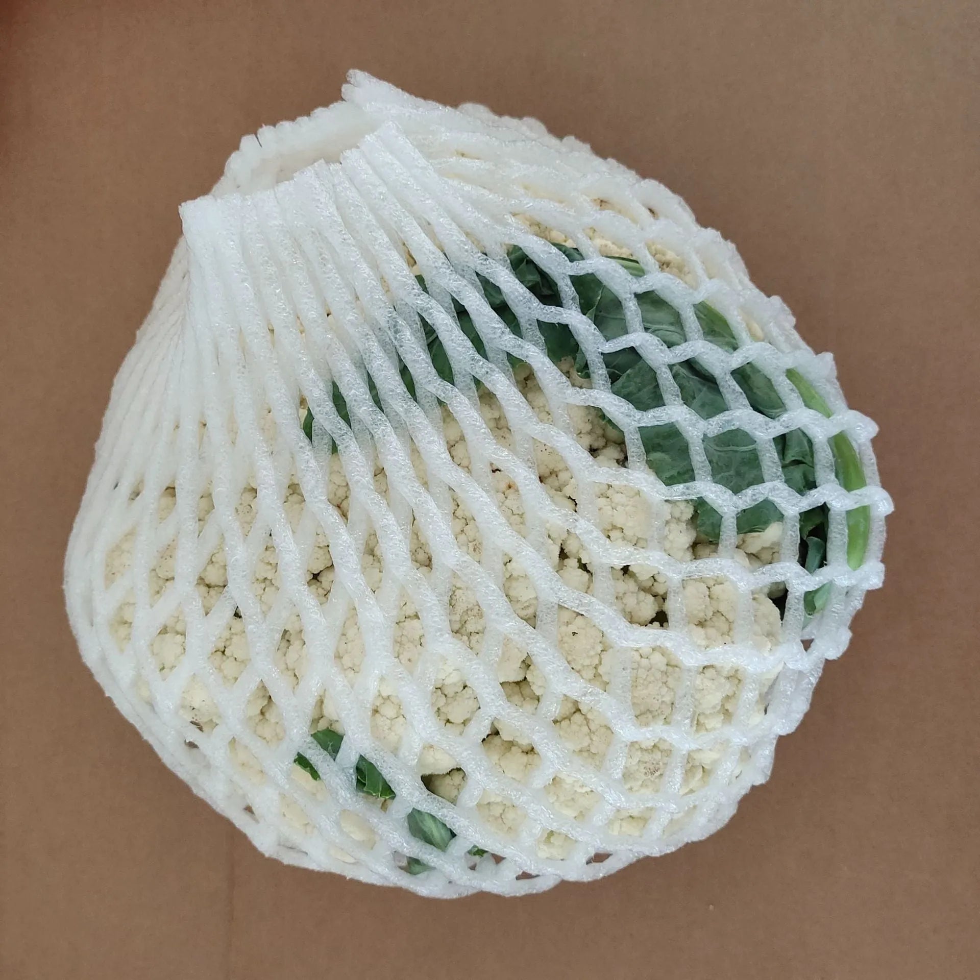 Ordinary white foam net protective case shown in various sizes for delicate items.