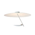 Creative iron art chandelier ceiling lamp with 50cm diameter and LED warm light