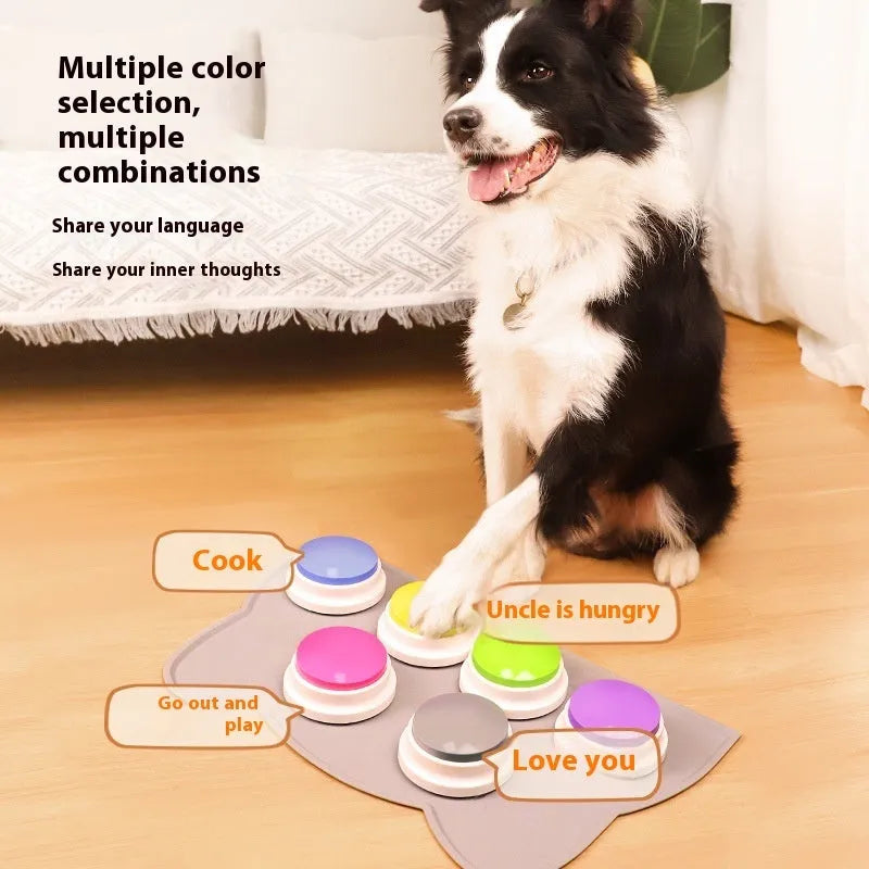 Plastic pet communication button dog voice toy in recording macaron purple on a flat surface