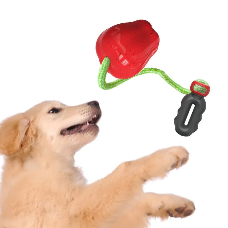 Green and red plastic Apple-shaped dog toys with squeakers for chewing play