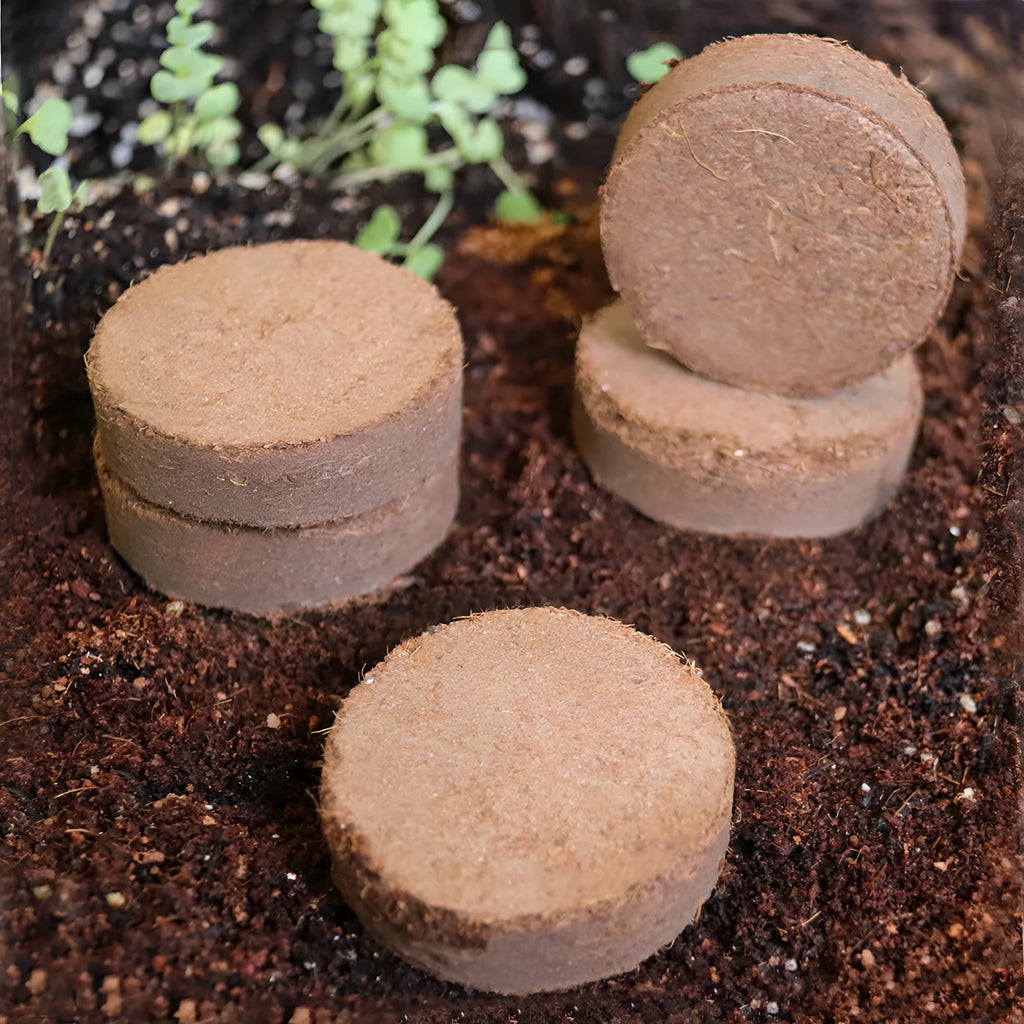 Eight sizes of compressed nutrient soil blocks for vegetable planting and seedling cultivation.