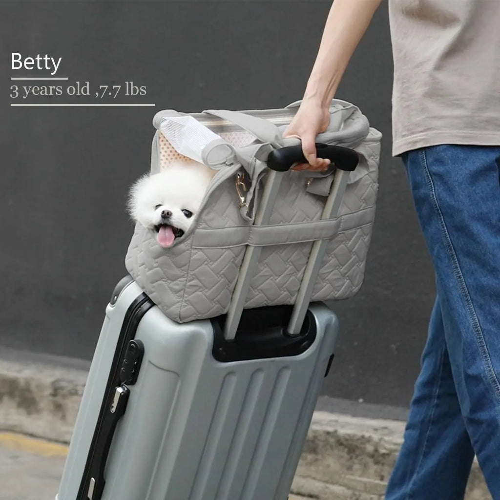 Grey pet carrier handbag with mesh panels and a safety tether for a small dog.