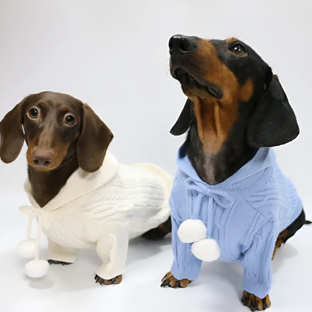 Pet hooded sweater for dogs, two-leg design, blended fabric, sky blue and beige colours, sizes XS to XL