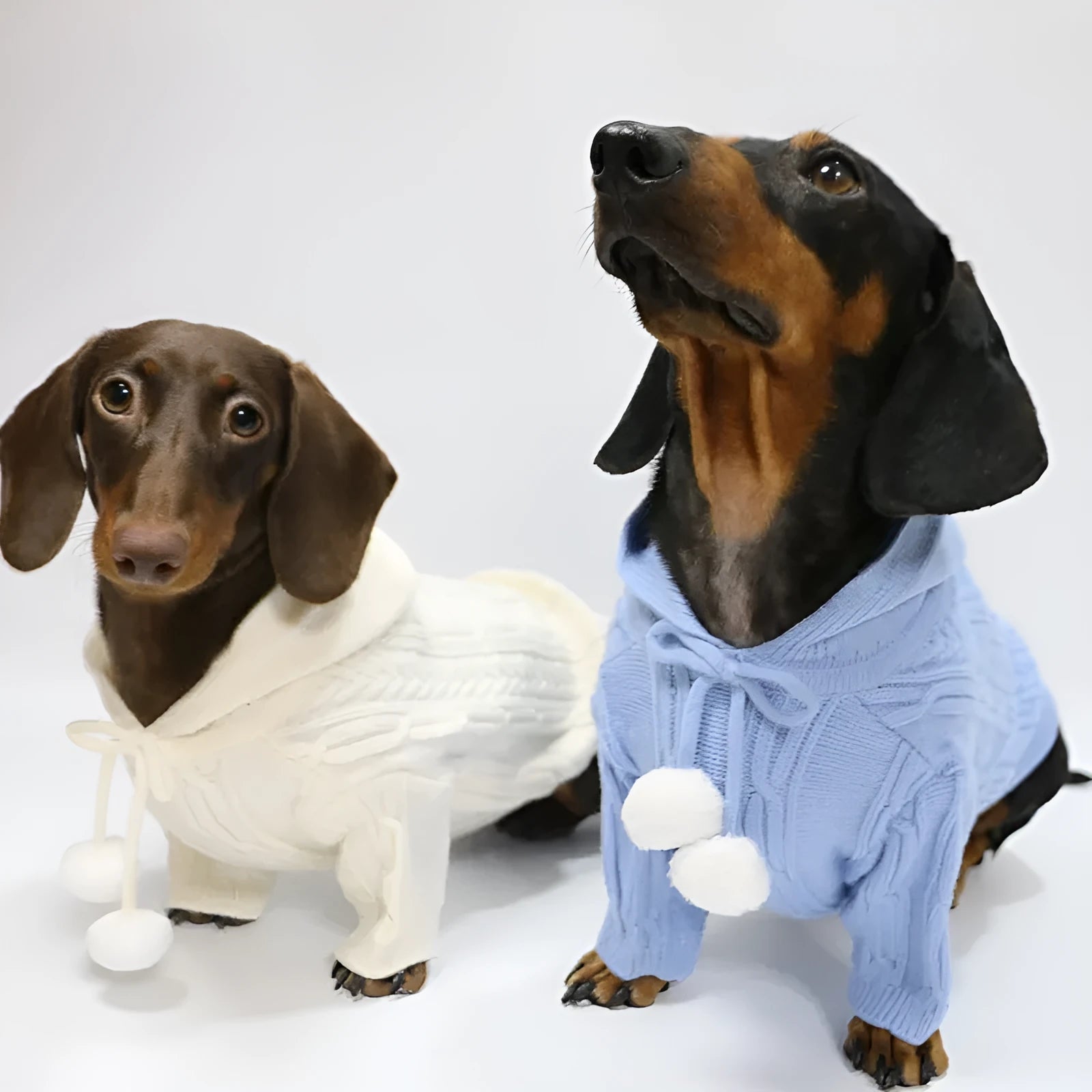 Pet hooded sweater for dogs, two-leg design, blended fabric, sky blue and beige colours, sizes XS to XL