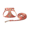 Cloth pet harness suit with leash in orange for small dogs and cats on white background