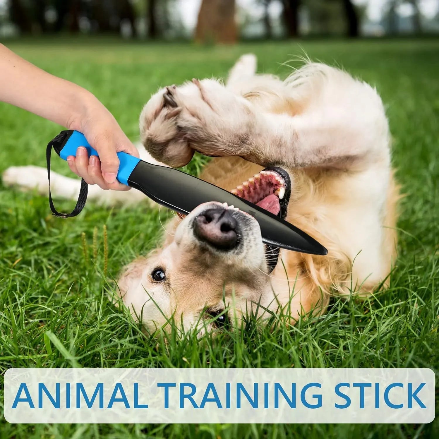 Blue-handled dog break stick measuring 35cm in length, made from nylon for training and chew toy use.
