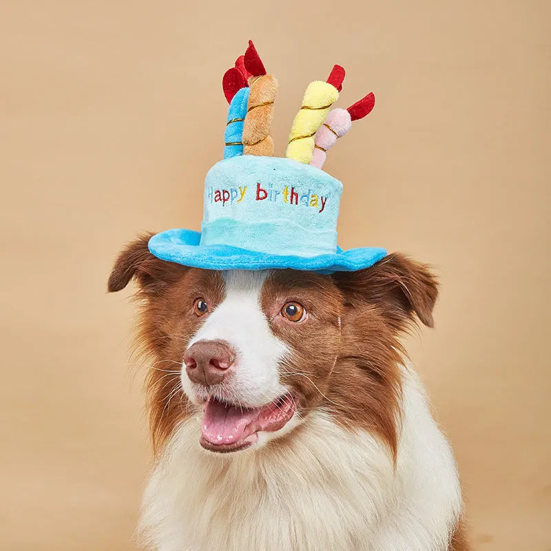 Blue felt dog birthday hat with elastic band shown on small dog for size reference