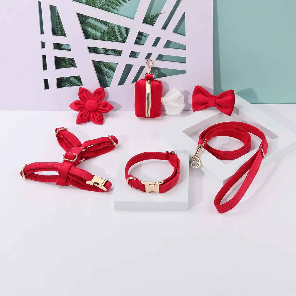 Velvet pet collar and traction rope set with chest strap and decorative bow tie accessories