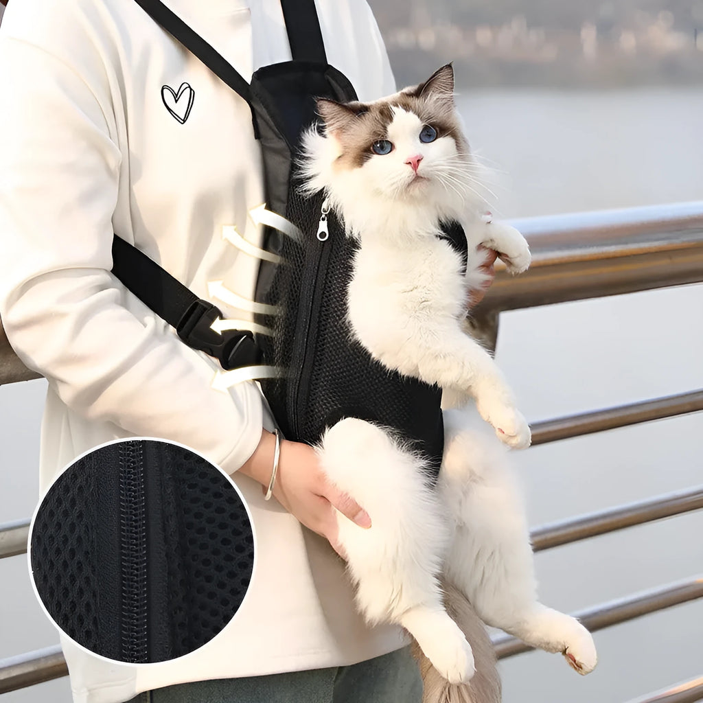 Pet dog carrier backpack in black nylon with breathable mesh and adjustable straps for small dogs