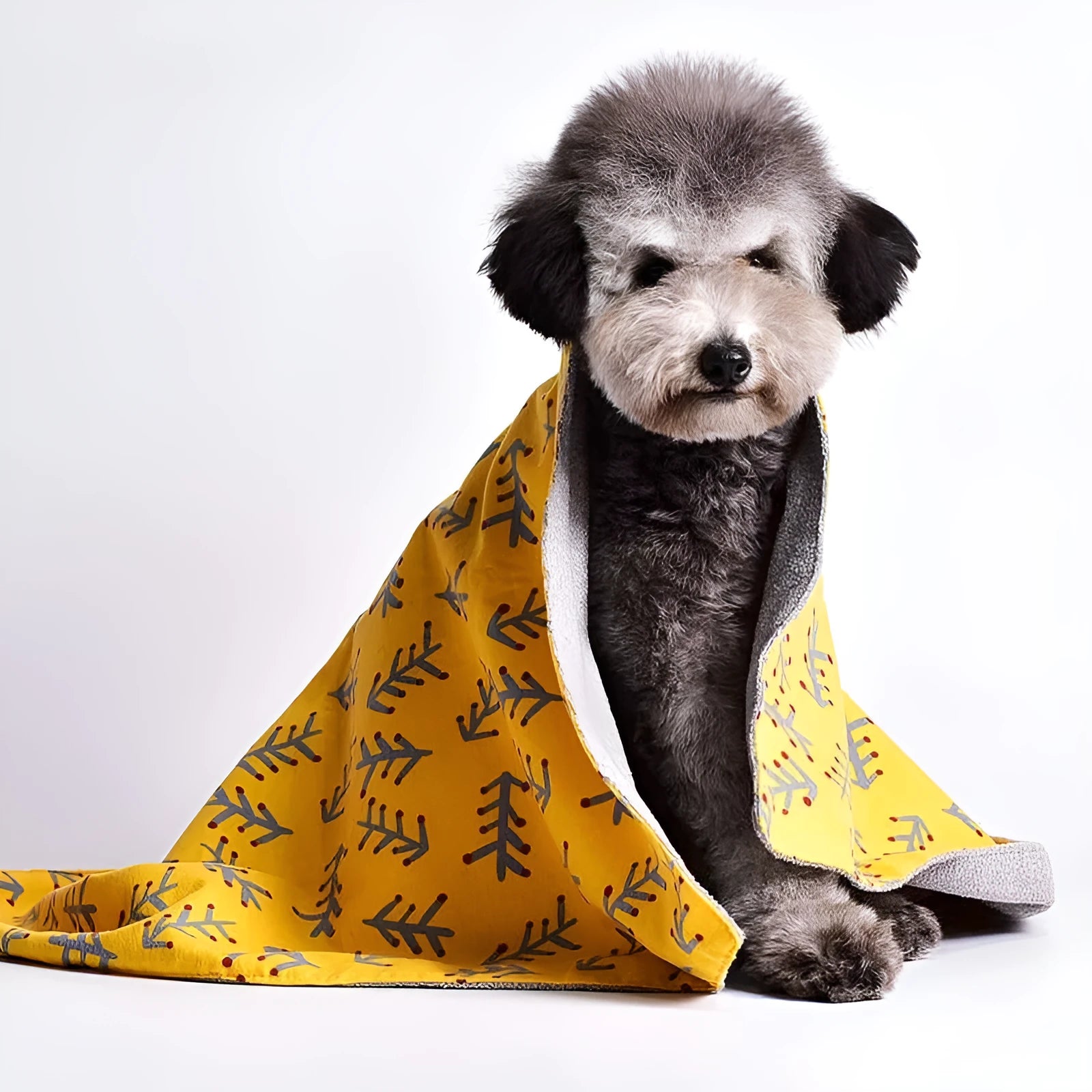 Pet double-sided cotton wool blanket kennel mat with yellow dinosaur pattern on cotton velvet fabric