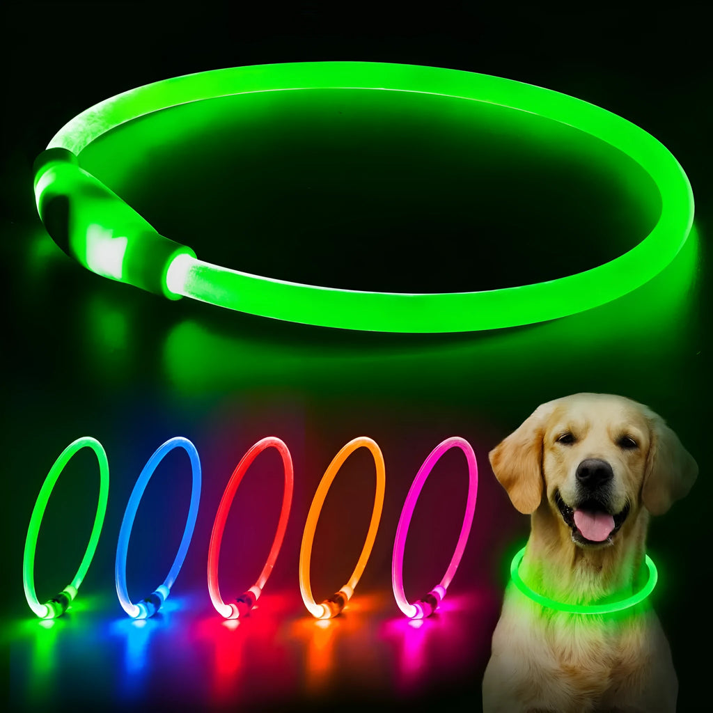 Blue LED dog collar glowing around dog's neck with USB charging cable