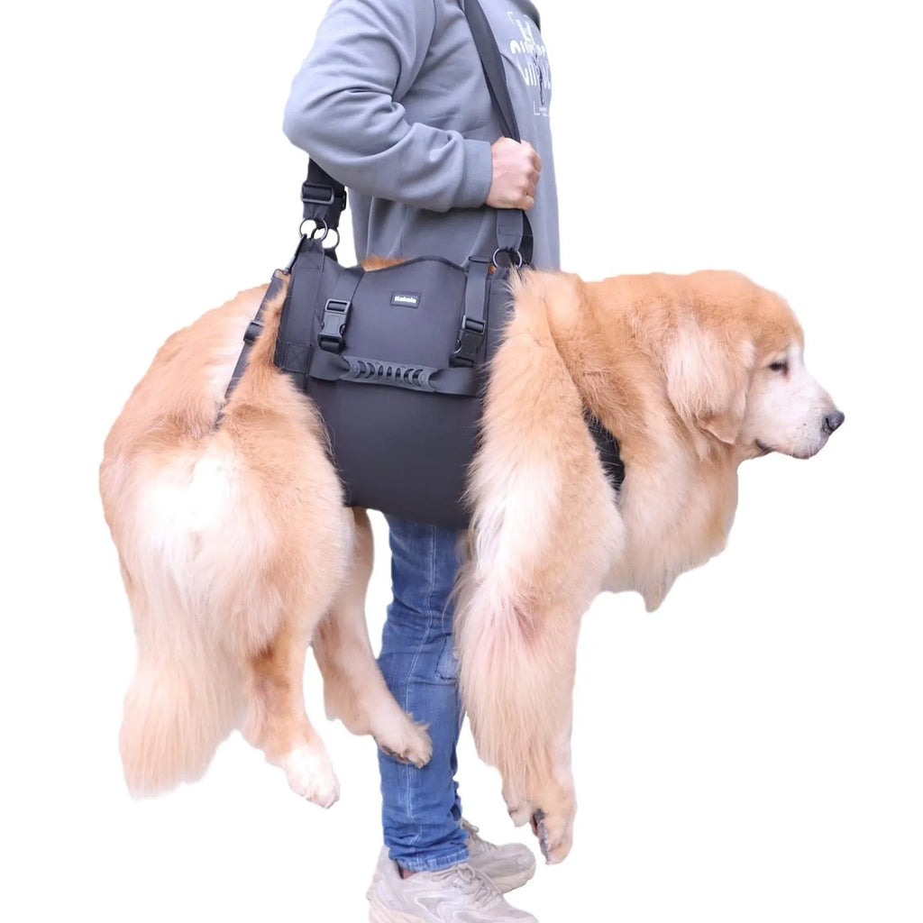 Black Oxford cloth dog harness with leg support straps shown on a dog model.