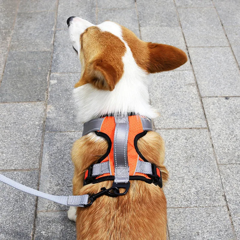Polyester dog hand holding rope vest chest strap in orange with back panel and handle