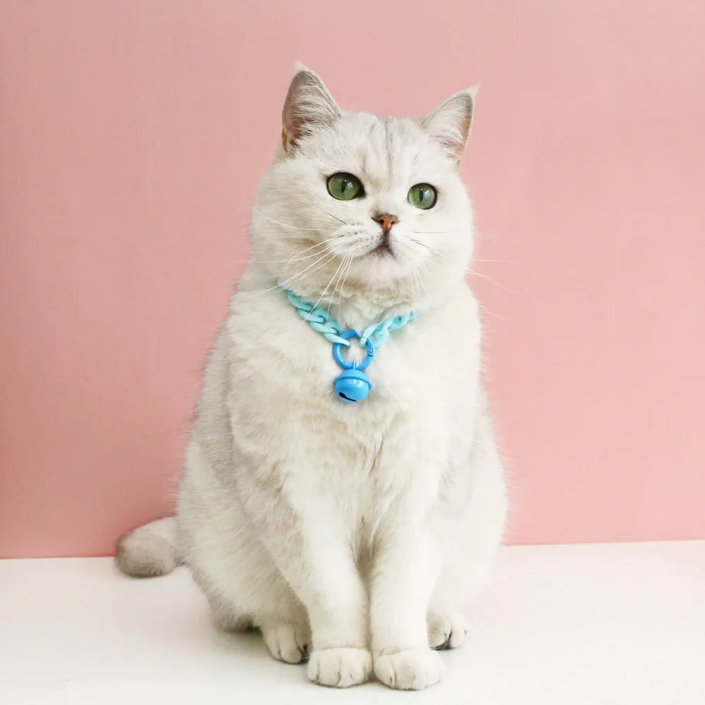Plastic chain pet collar in macaron candy colours with adjustable sizing for special occasions