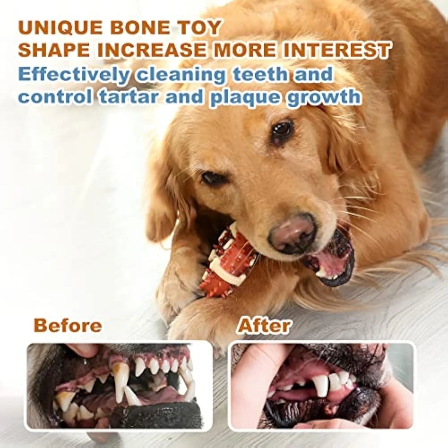 Bone-shaped natural rubber dog molar chew toy for teeth grinding