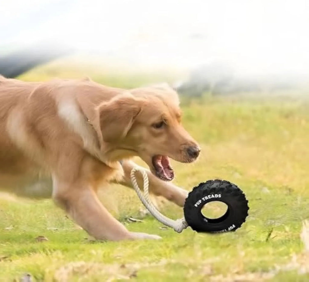 Black natural rubber dog chew toy shaped like a tire with rope, 35x16cm, for large aggressive chewers