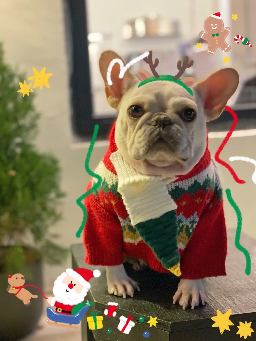Red wool pet Christmas sweater for dogs and cats, available in sizes S to 2XL, casual style