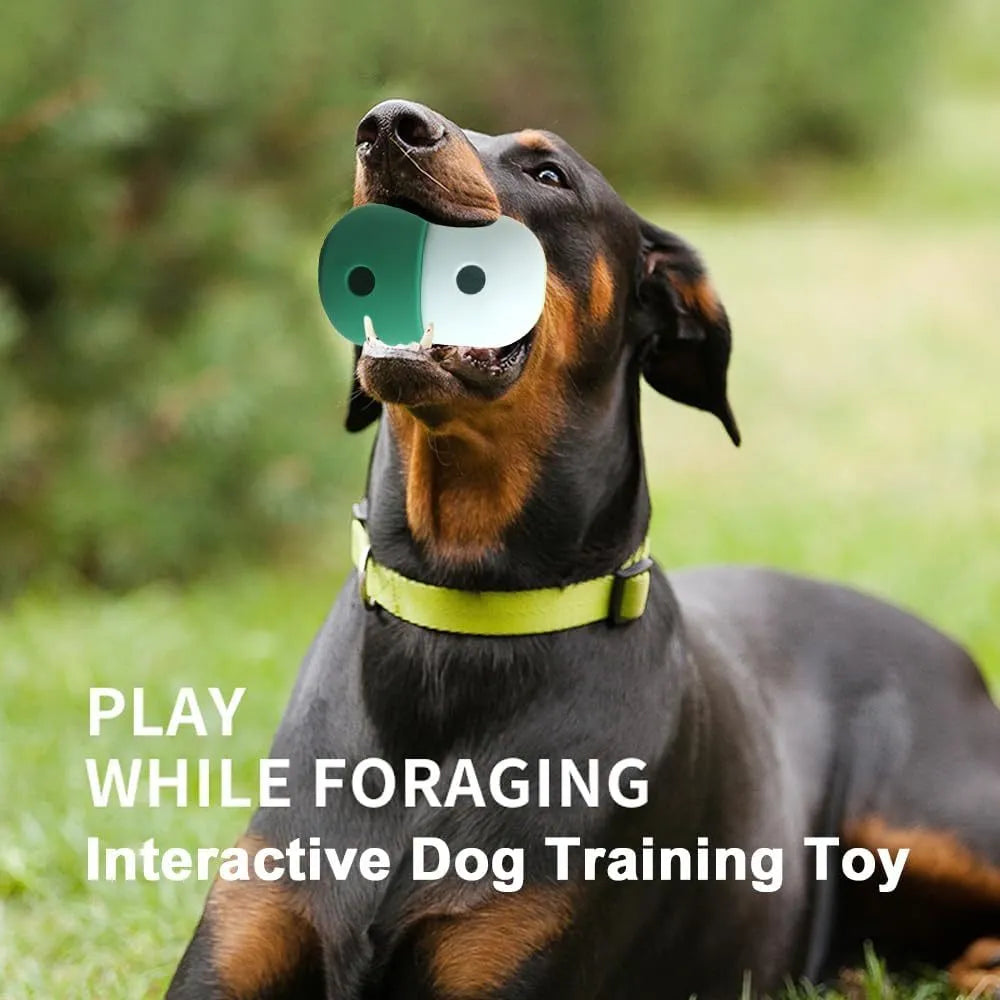 Dog treat dispensing puzzle ball in multiple colour combinations for small medium dogs