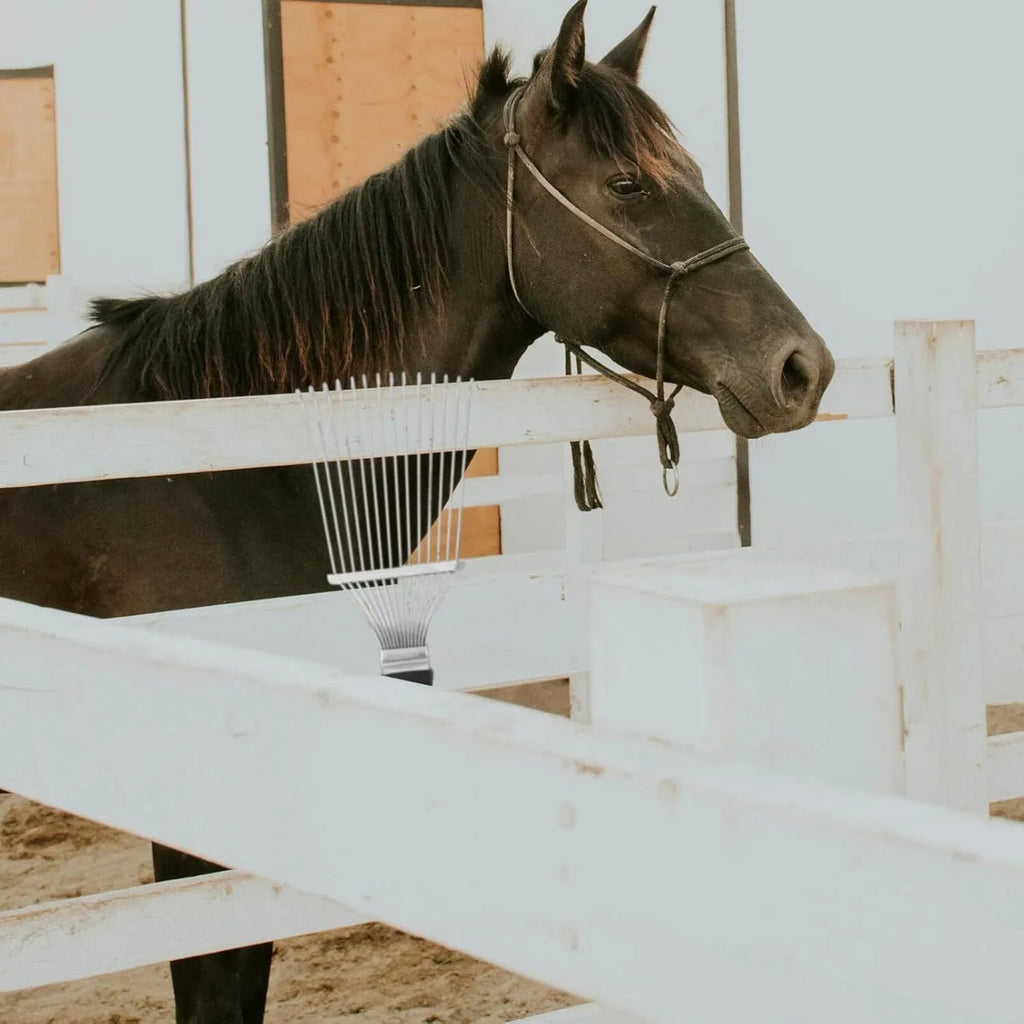 Stainless steel dematting brush rake for grooming horses and pets on a wooden surface.