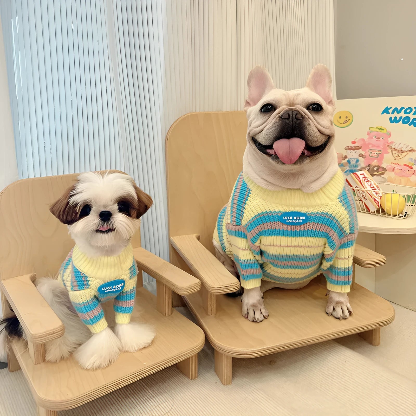 Blue and yellow striped wool sweater for small dog breeds on mannequin showing size options