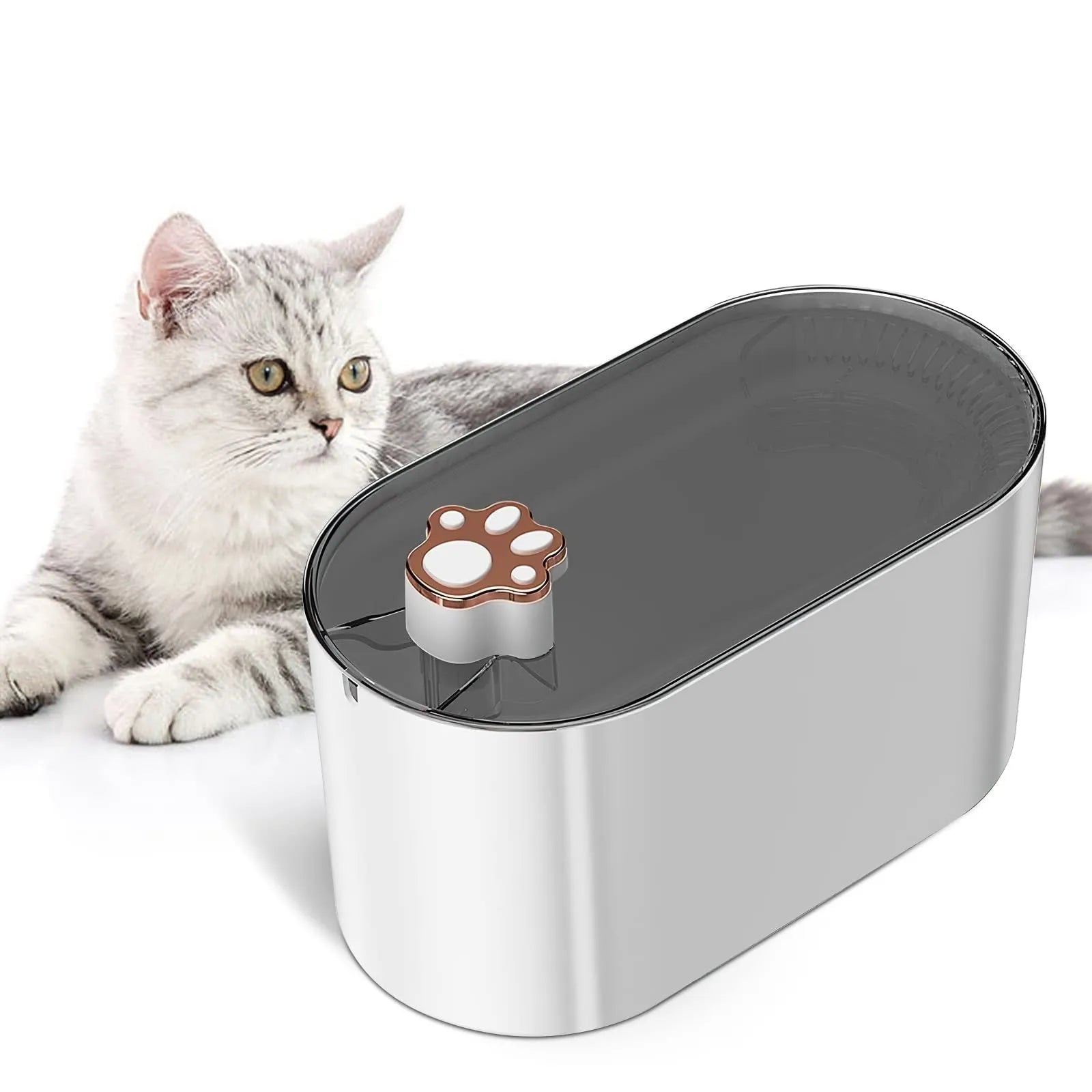 Berlin blue 3L automatic pet water fountain with LED light and quiet pump on floor