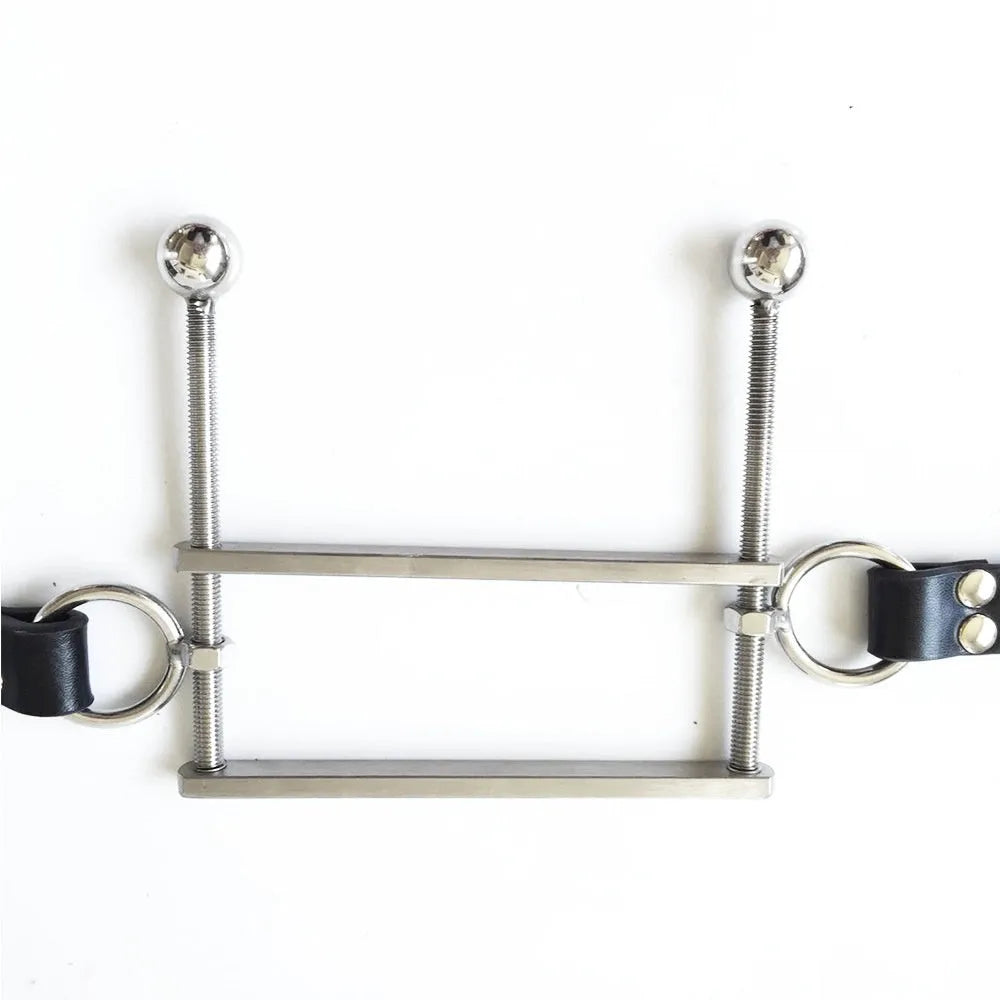 Stainless steel BDSM gag in black with metal ring and buckle straps
