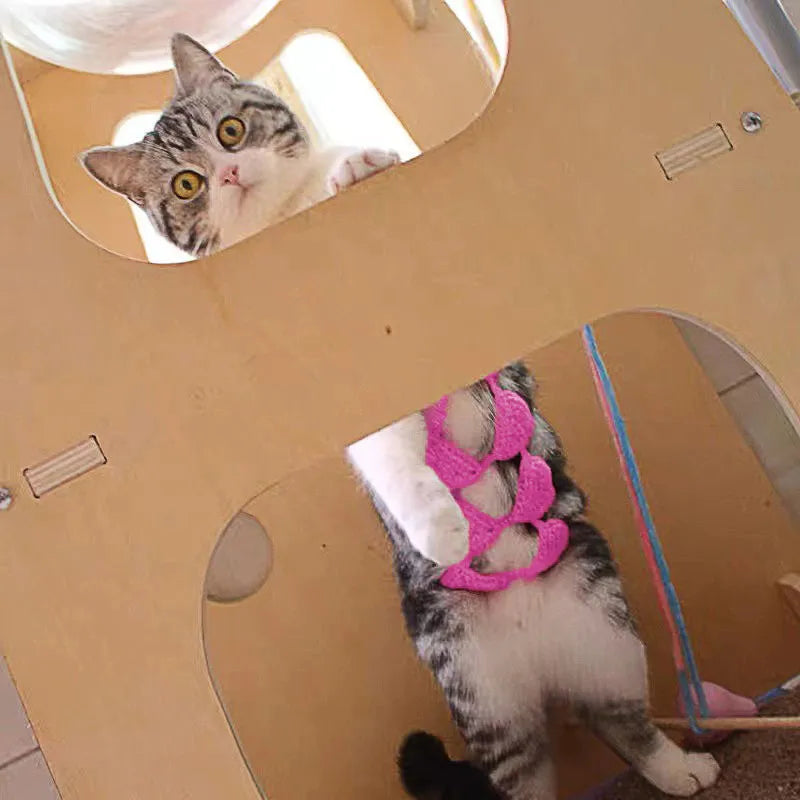 Cat wearing a pink bikini costume with bra top and matching bottom for Halloween