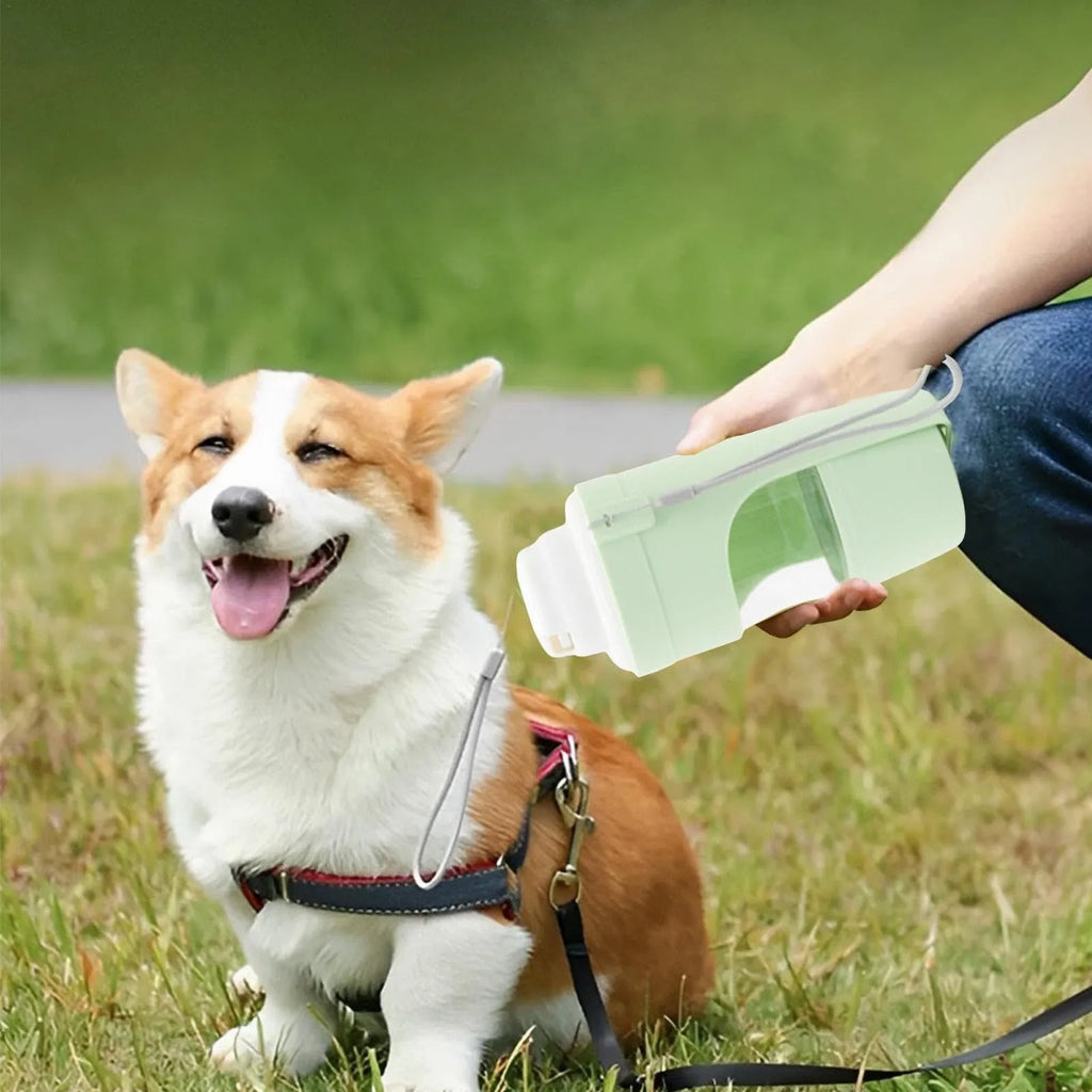 2-in-1 travel dog water bottle with 690ml capacity, lanyard, and leakproof seal in green; folding size 20cm x 9cm