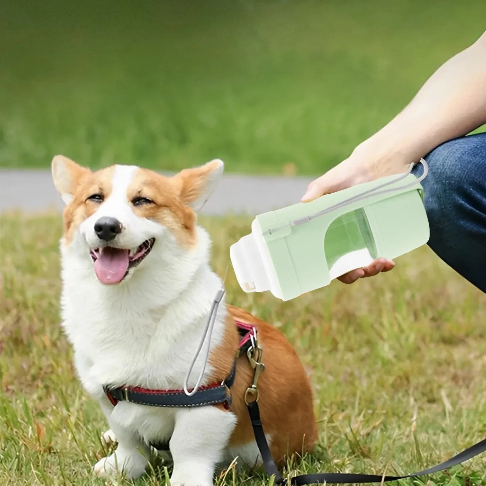 2-in-1 travel dog water bottle with 690ml capacity, lanyard, and leakproof seal in green; folding size 20cm x 9cm