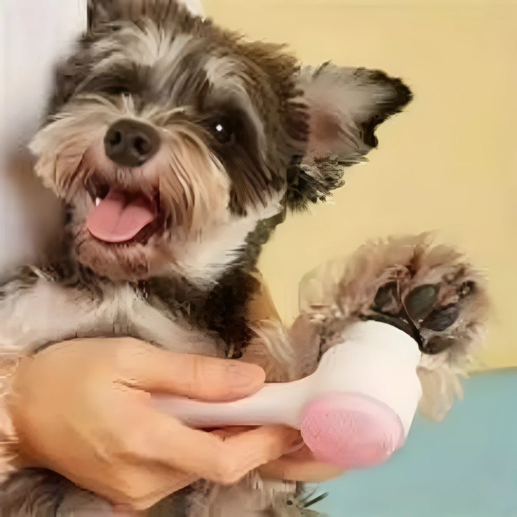 Blue nylon pet paw brush for dogs and cats with ergonomic PP plastic handle