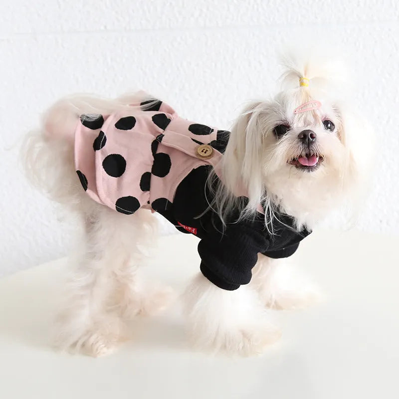 Dog couple clothing outfits in skirt and four-legged styles showing size options from XS to XL