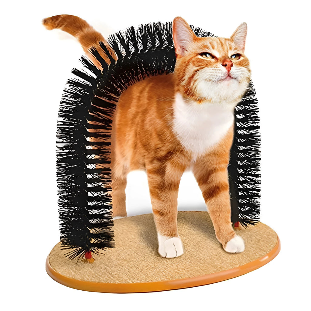 White plastic cat grooming arch scratcher with a central built-in brush panel.