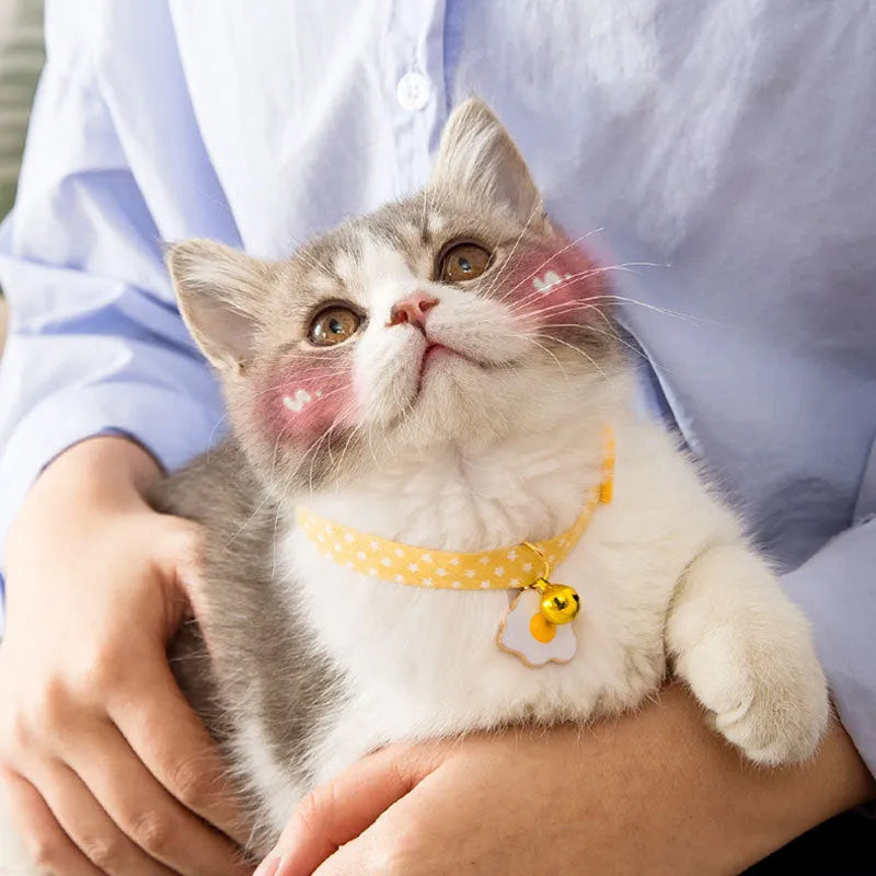 Adjustable cat collar with bell pendant and bow tie decoration for small pets in green, pink, yellow colours