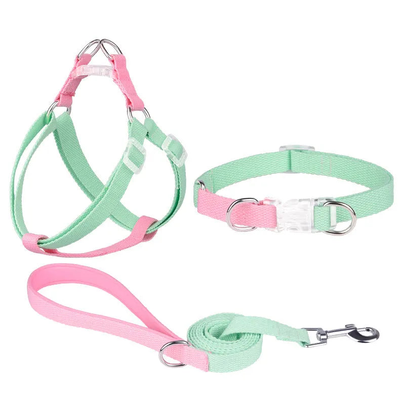 Polyester ribbon dog collar set with lead and chest strap in green and pink, adjustable size for small dogs