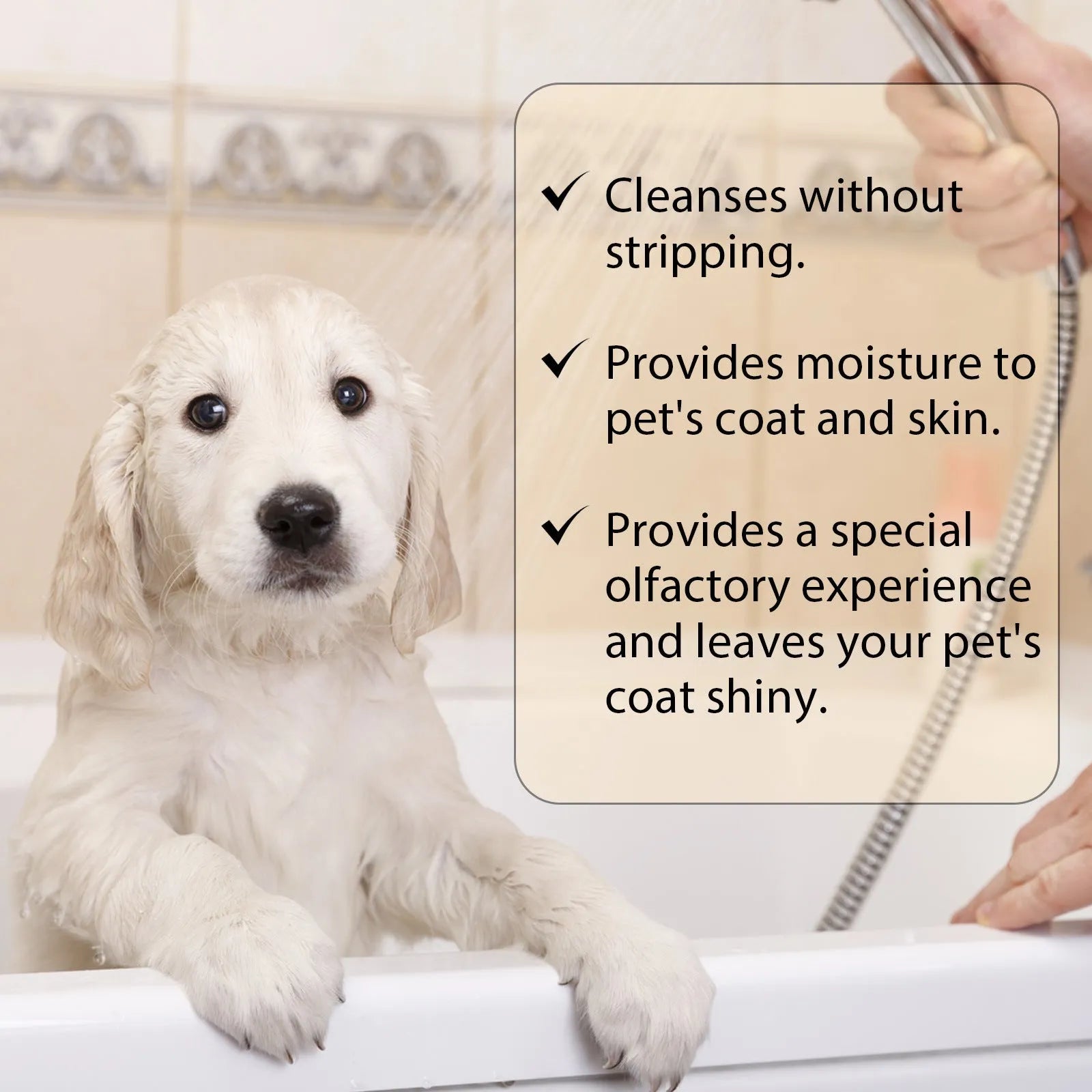 Mild dog shampoo bottle in 100ml or 300ml size for soft, tangle-free coats