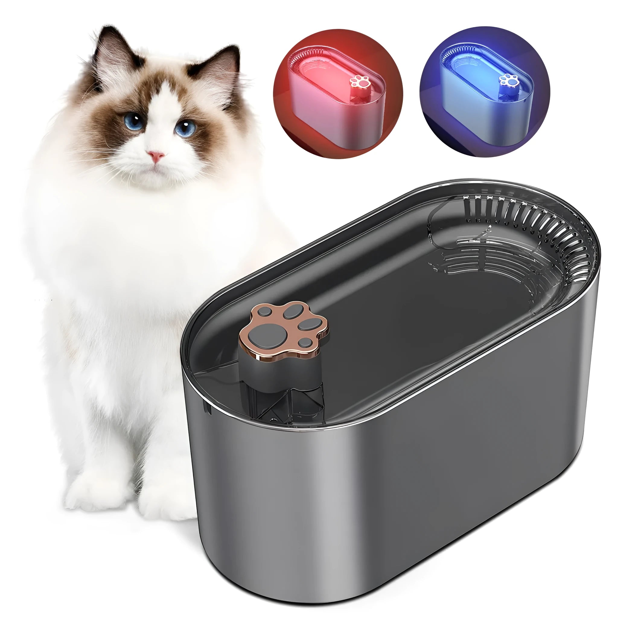 Berlin blue 3L automatic pet water fountain with LED light and quiet pump on floor