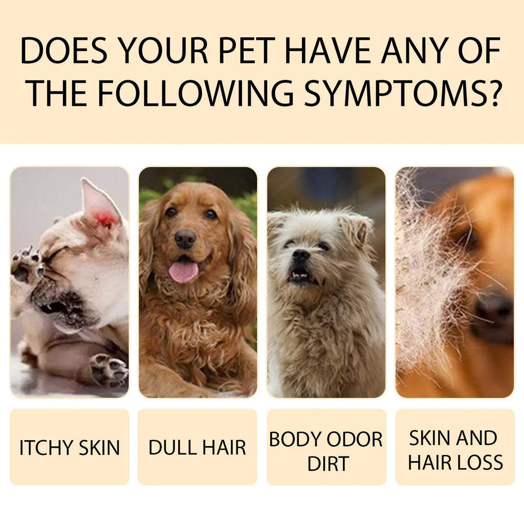 Mild dog shampoo bottle in 100ml or 300ml size for soft, tangle-free coats