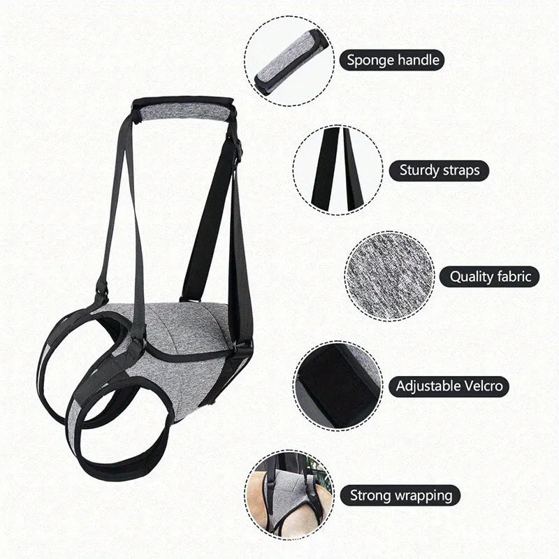 Grey neoprene dog recovery belt for rear leg support with adjustable sizing