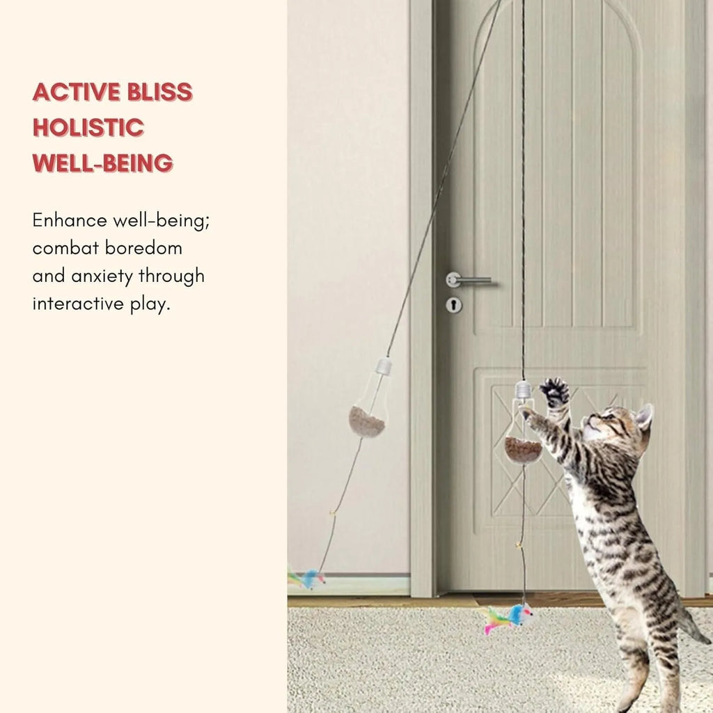 Gray creative interactive cat toy hanging on door frame with treat-dispenser bulb and dangling mouse toy