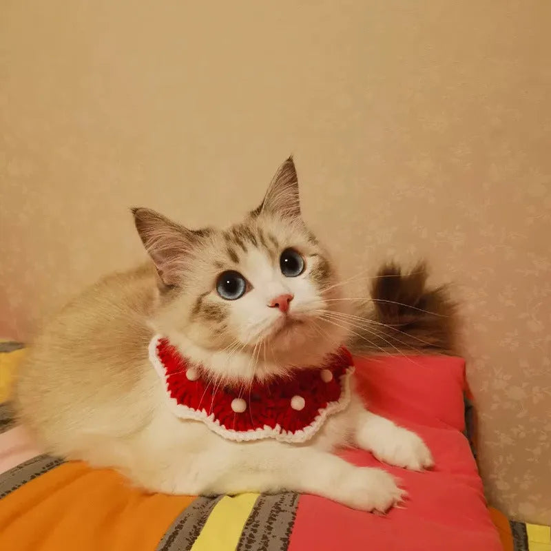 A soft milk cotton knitted pet collar with a cartoon pattern, shown in a customisable colour for cats, dogs, or rabbits.