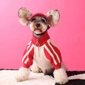 Wool dog sweater cardigan in dark green, available in multiple sizes for casual pet wear