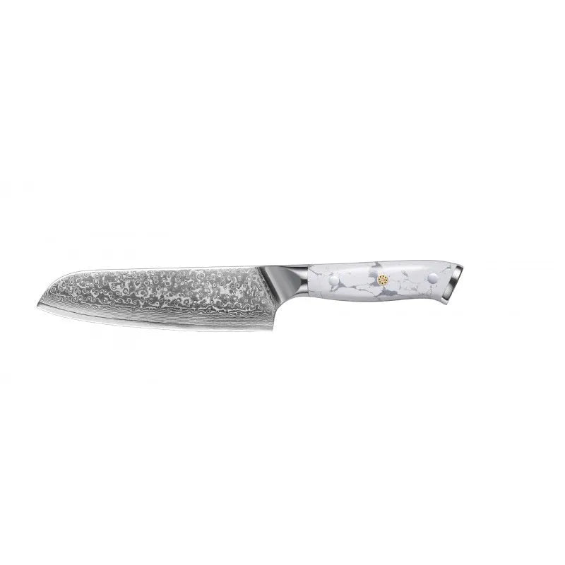 Damascus pattern VG10 steel combined chef's knife with 21cm blade for multiple kitchen cutting functions