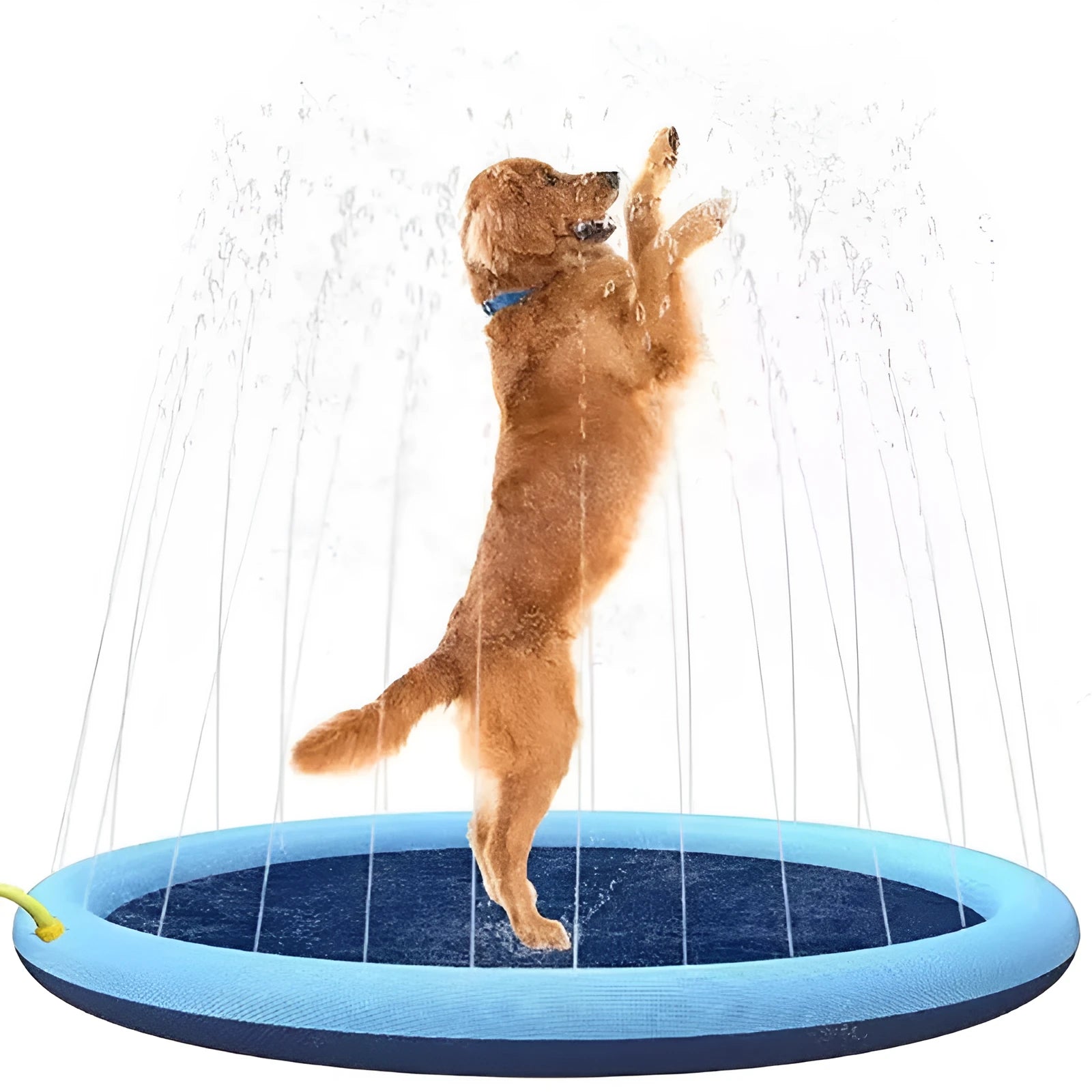 Blue anti-slip dog splash pad sprinkler toy with water sprays, placed on grass.
