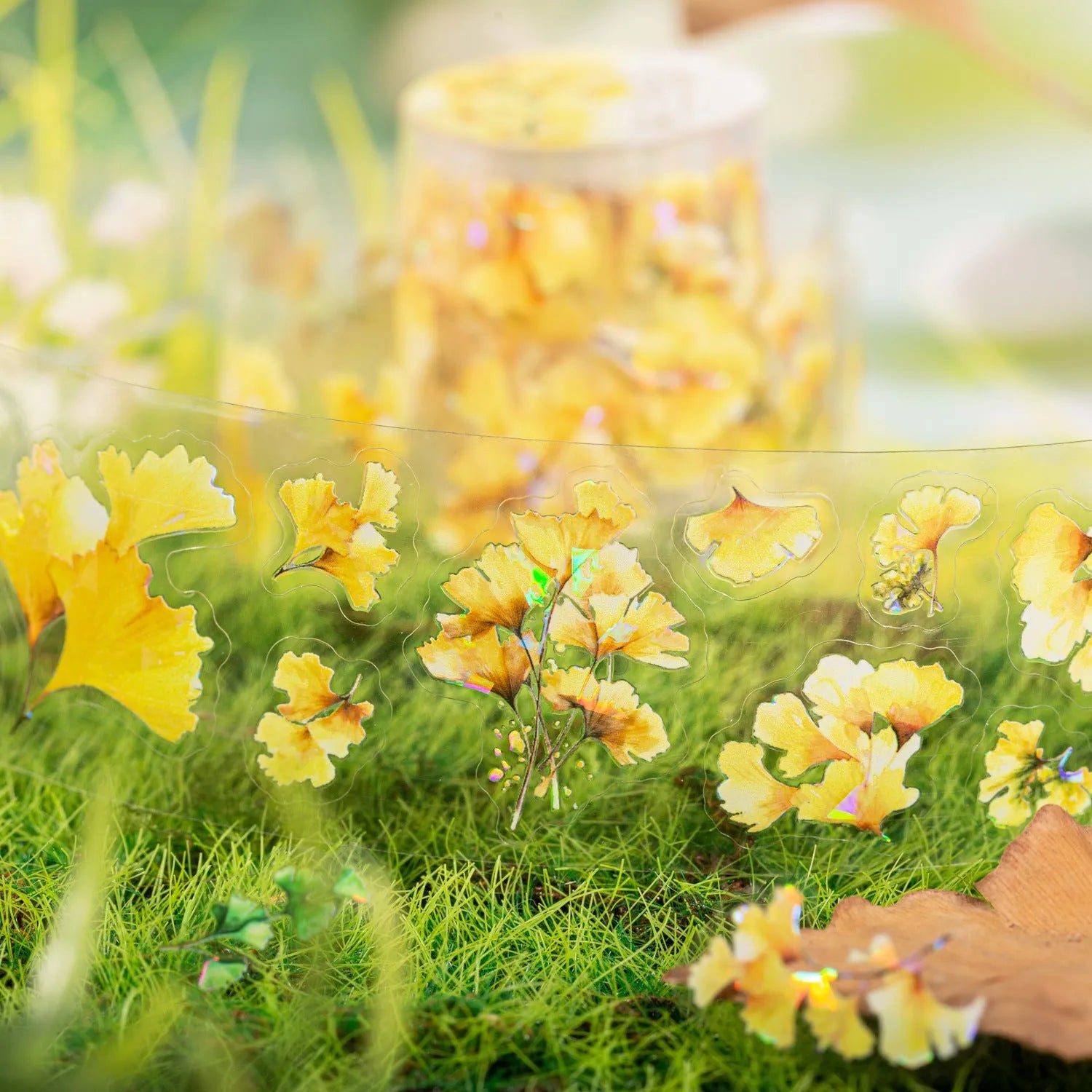 40mm wide decorative sticker roll with leaf patterns including ginkgo and maple designs