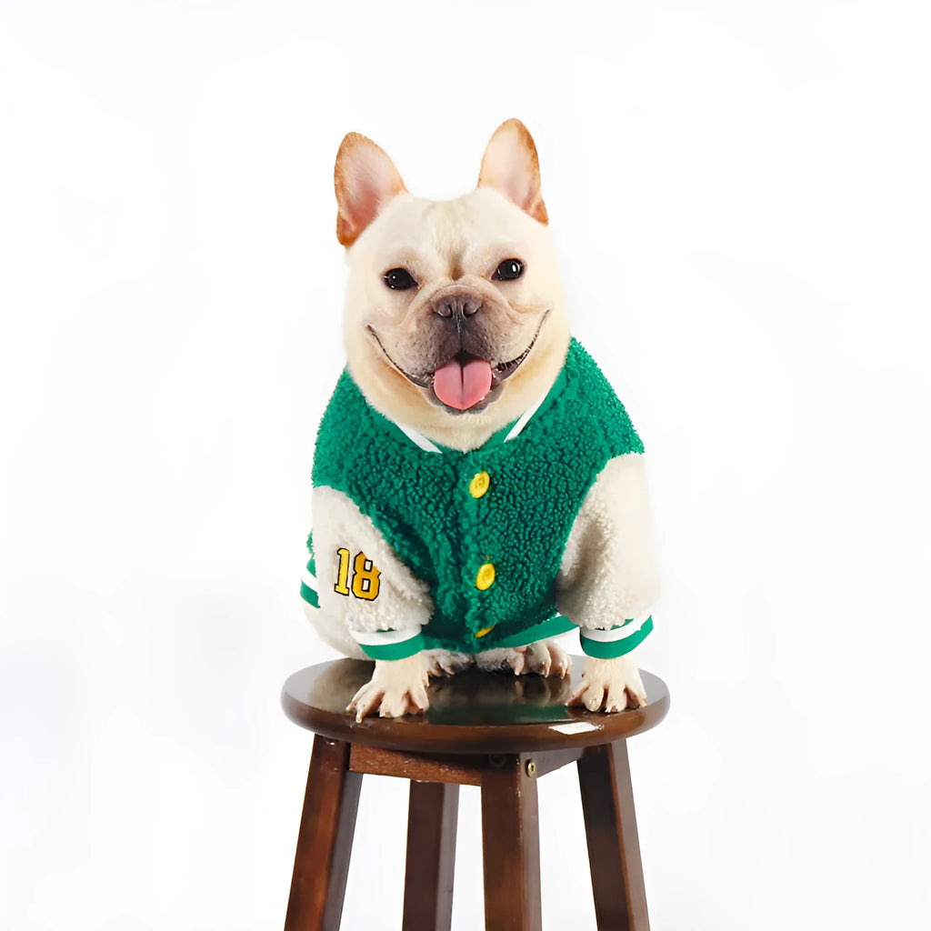 Green fleece-lined thick dog coat for winter, available in sizes L to 4XL
