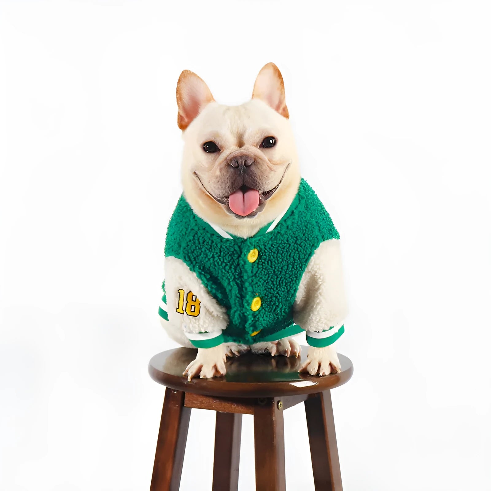 Green fleece-lined thick dog coat for winter, available in sizes L to 4XL